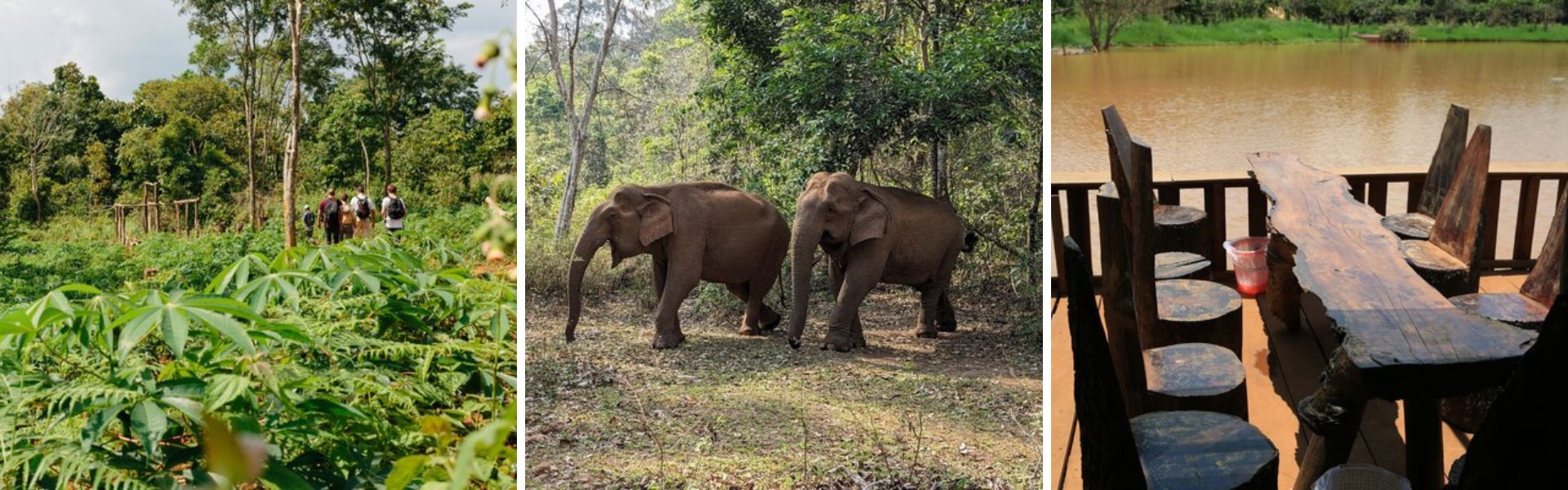 Mondulkiri: Sehenswürdigkeiten und Aktivitäten  | Kambodscha Reisen