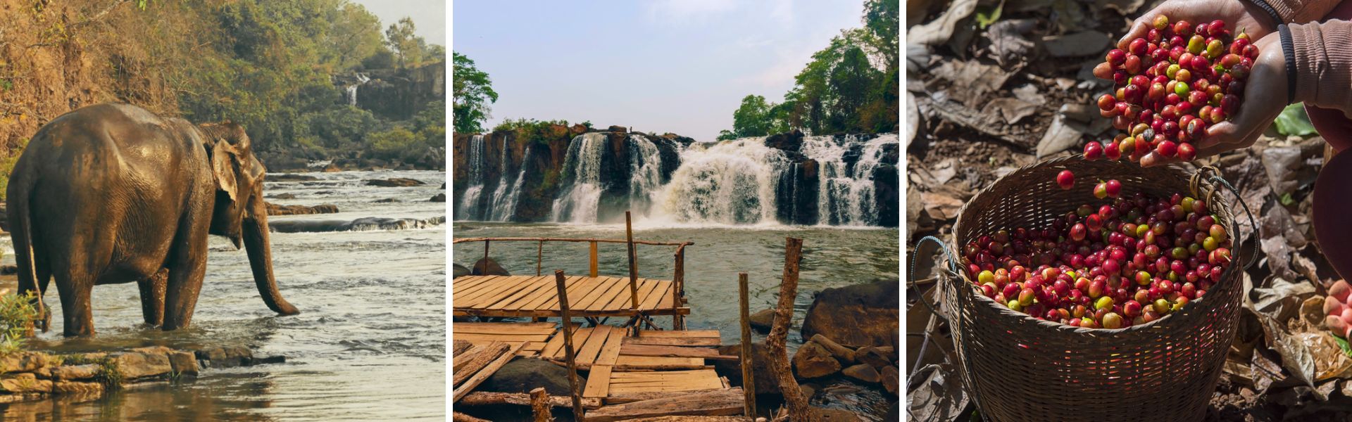 Bolaven Plateau: Sehenswürdigkeiten und Aktivitäten | Laos Reisen