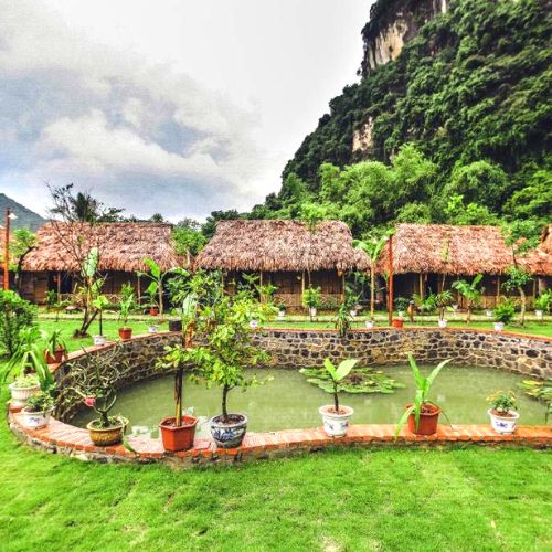 Tam Coc Rice Field