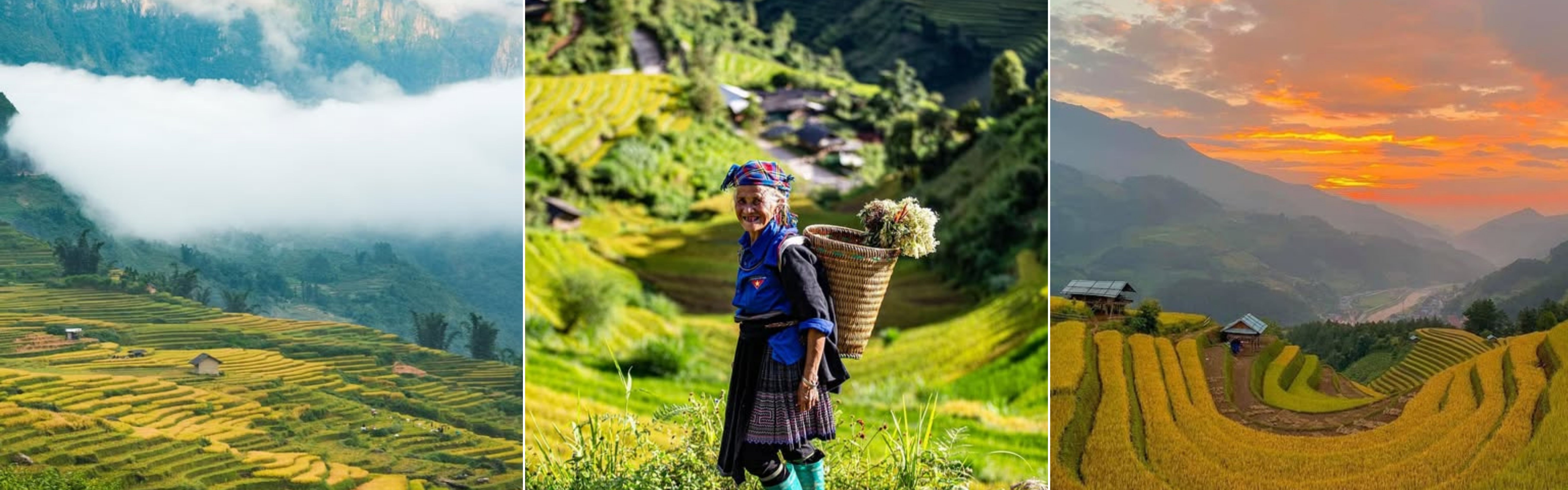 Goldene Reissaison in Nordvietnam: Beste Reisezeit