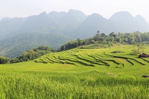Tag 04:  Mai Chau - Pu Luong