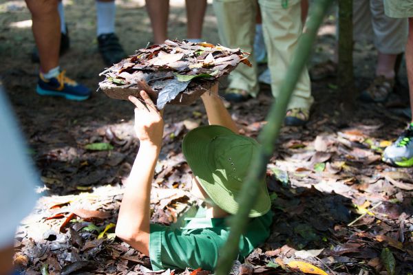 Tag 12:  Saigon - Cu Chi - Saigon 