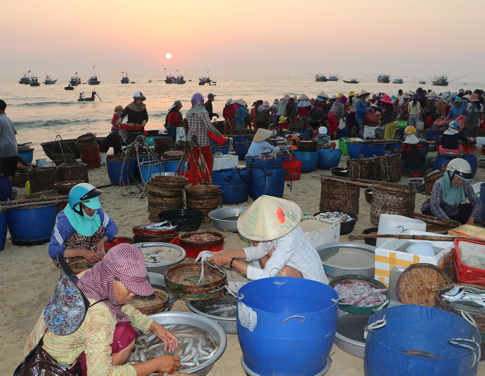 Lebhaftes Treiben auf dem Chợ cá Tam Tiến in Đà Nẵng