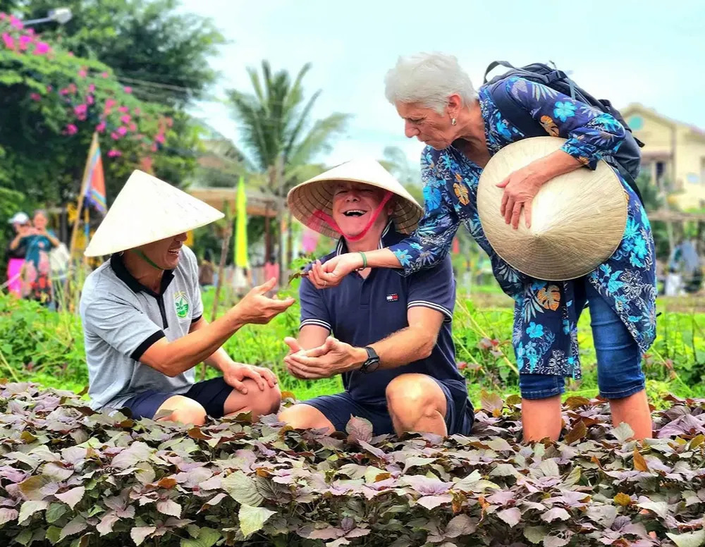 Gemüsedorf Trà Quế mit grünen Kräuter- und Gemüsefeldern bei Hoi An