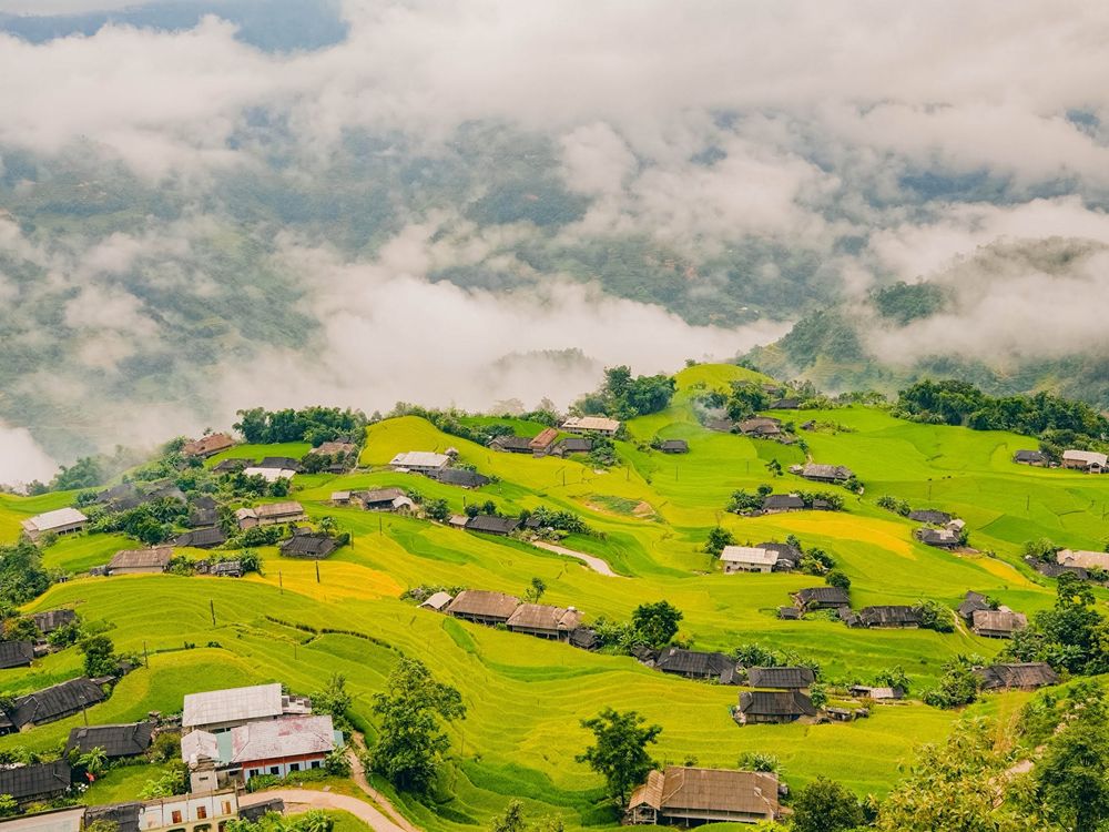 Goldene Reisterrassen und Wolkenmeer in Hoàng Su Phì