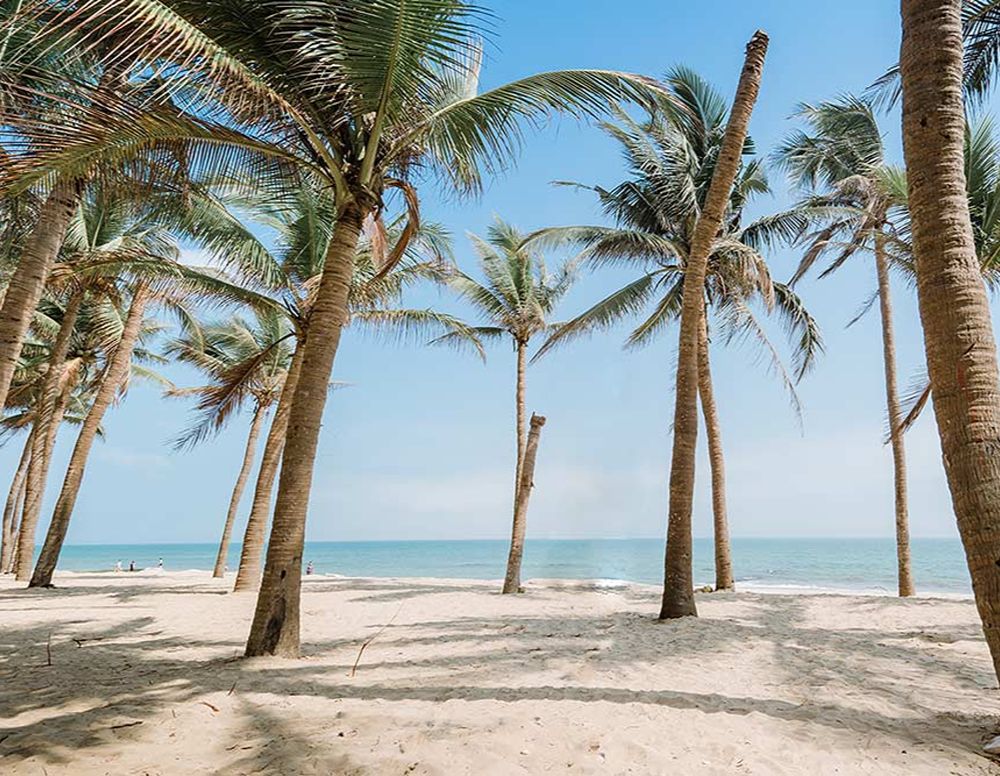 Cua-Dai-Strand mit Palmen und Sandküste bei Hoi An