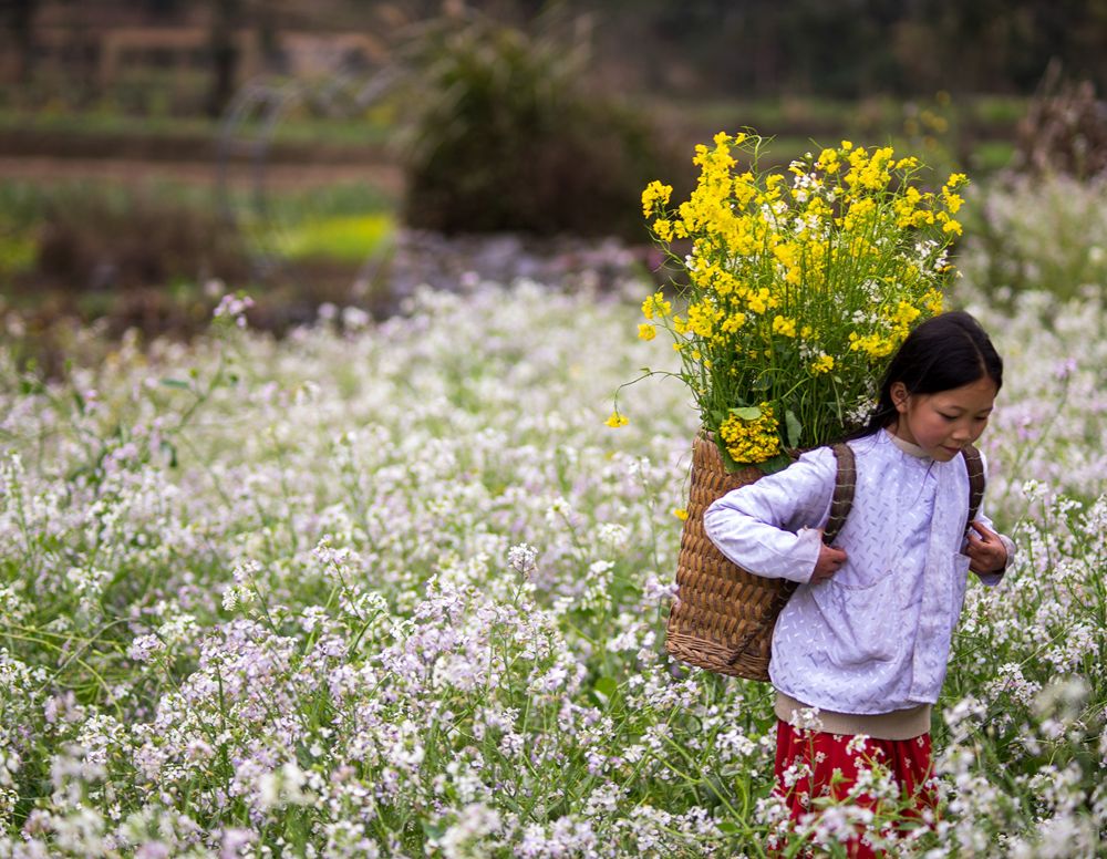 Vietnamesisches Kind mit einem Korb voller Blumen