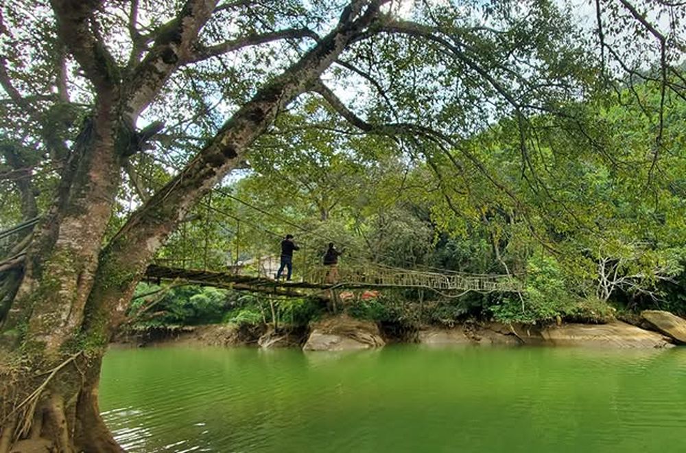 Mây-Brücke in Tả Van