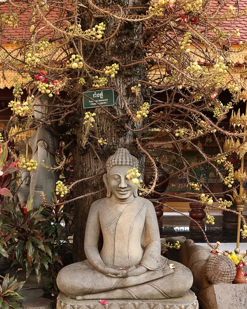 Phnom Penh