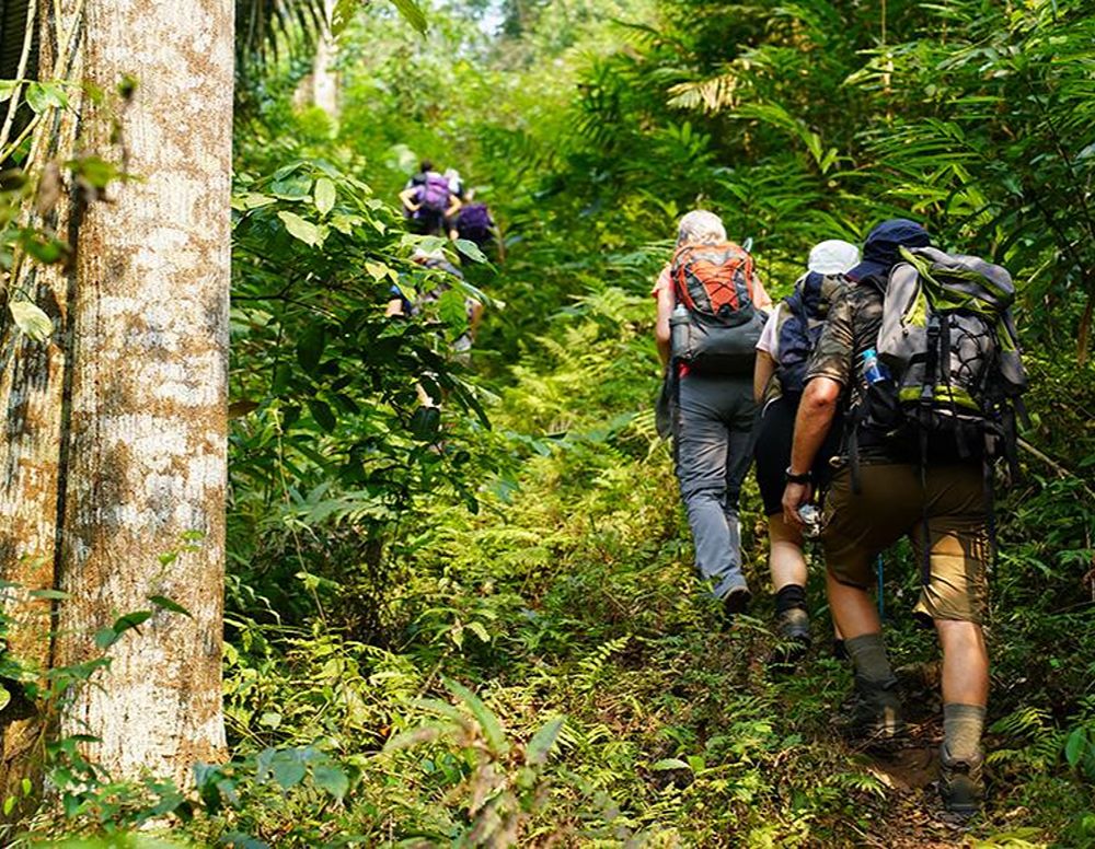 Trekking in Vietnam