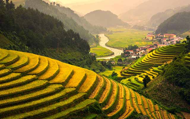 Vietnam Reise für Naturliebhaber