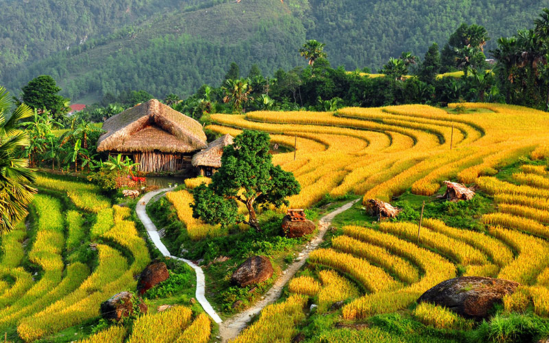 Strandurlaub in Vietnam - 20 Tage