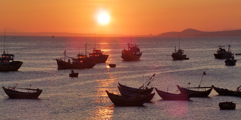 hoabinh1