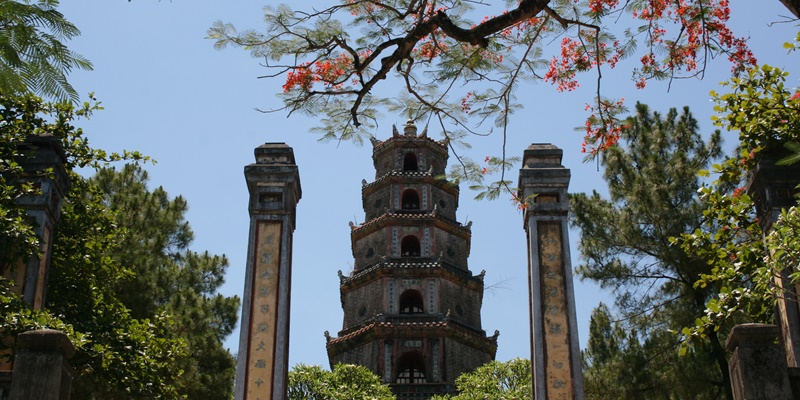 hoabinh1
