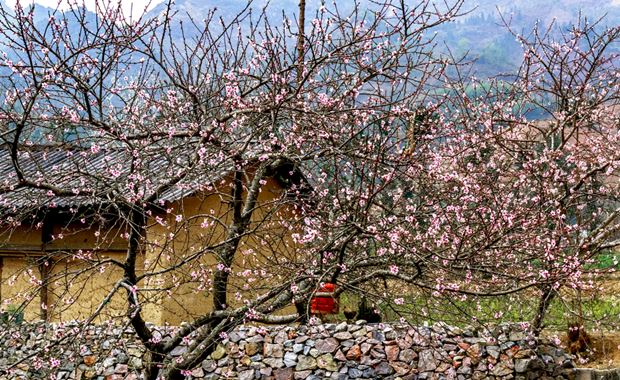 Ha Giang - Perfektes Reiseziel für Wandern in Vietnam