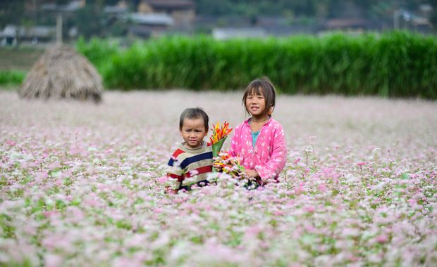 Ha Giang - Perfektes Reiseziel für Wandern in Vietnam 05
