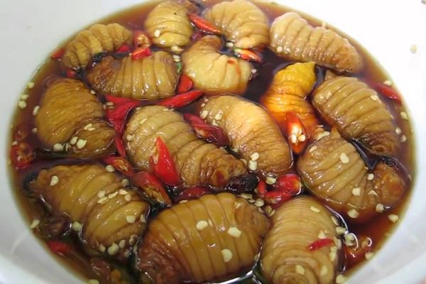 10 schreckliche vietnamesische Gerichte: von Blutwurst bis Maus Duong Dua Kokonuswuermer