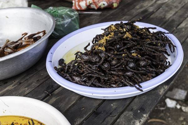 10 schreckliche vietnamesische Gerichte: von Blutwurst bis Maus tarantulas