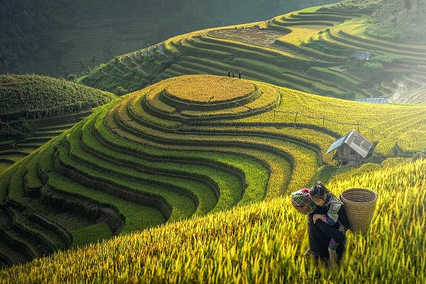 Sapa, Vietnam Reiseziele