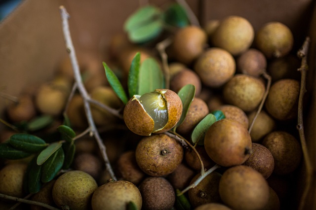 Longan, Früchte Vietnam