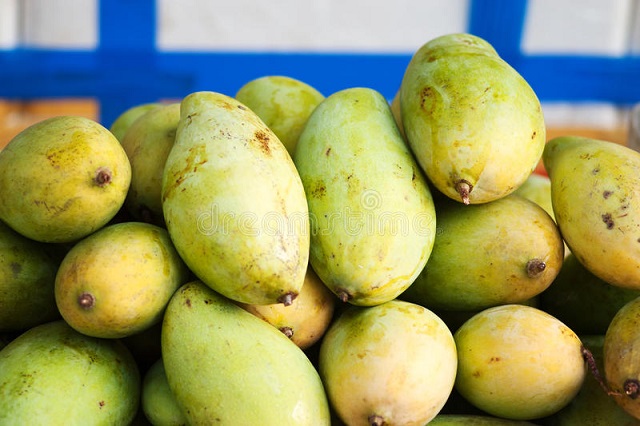 Mango Früchte Vietnam