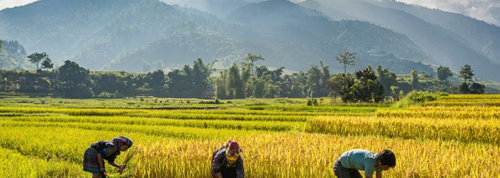 Vietnam Reiseangebote -3