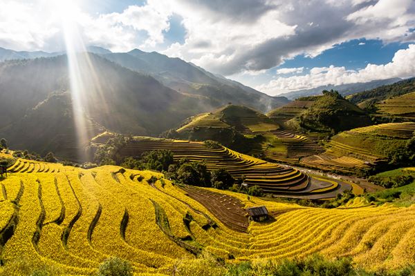 Mu Cang Chai Reisterrassen