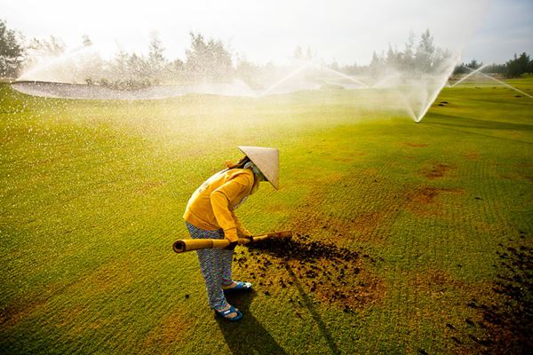 Montgomerie Links in Da Nang