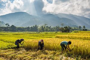 Vietnam abseits Massentourismus - 14 Tage